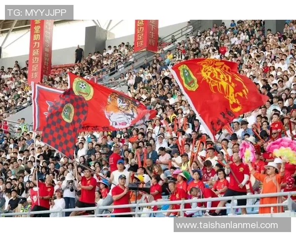 延边对江苏足球比赛直播频道及观看方式全攻略